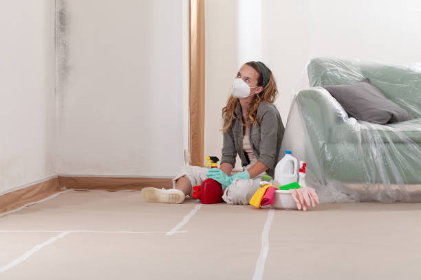 Reliable Commercial Mold Remediation contractor in South Amboy, NJ by WQB Mold Removal